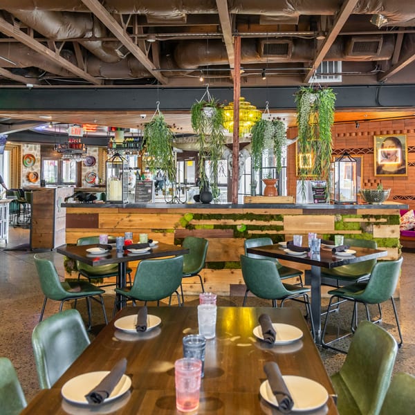 Neon Cactus restaurant interior with dark wood tables, green chairs, and hanging plants over a bar.
